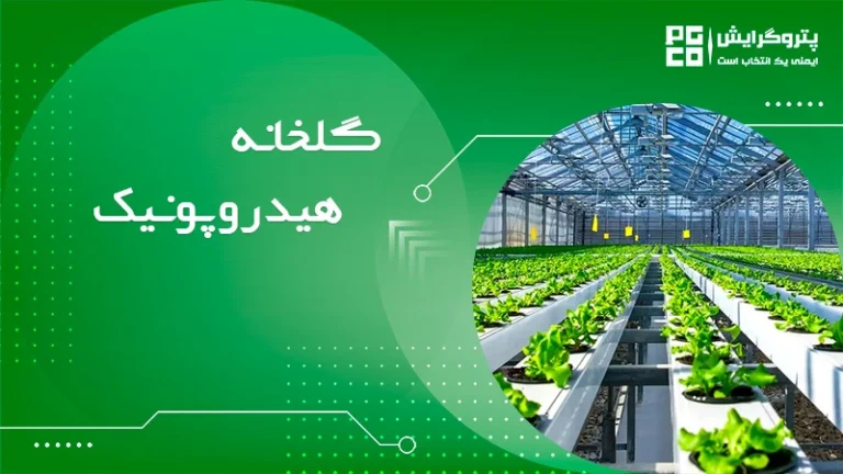 گلخانه هیدروپونیک
