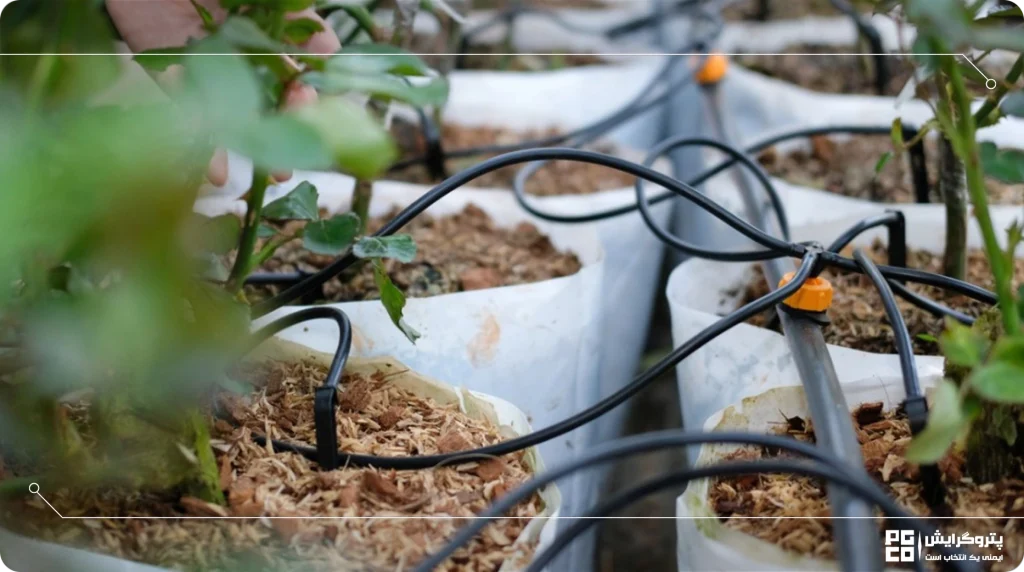 قوانین آبیاری گلخانه