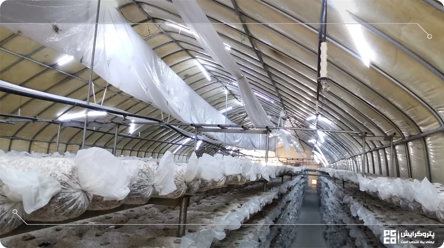 تجهیزات لازم برای پرورش قارچ