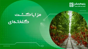 کشت گلخانه ای