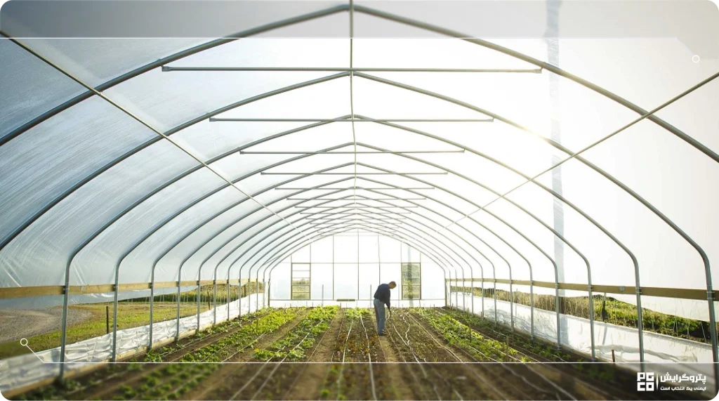 هزینه ساخت گلخانه عمودی