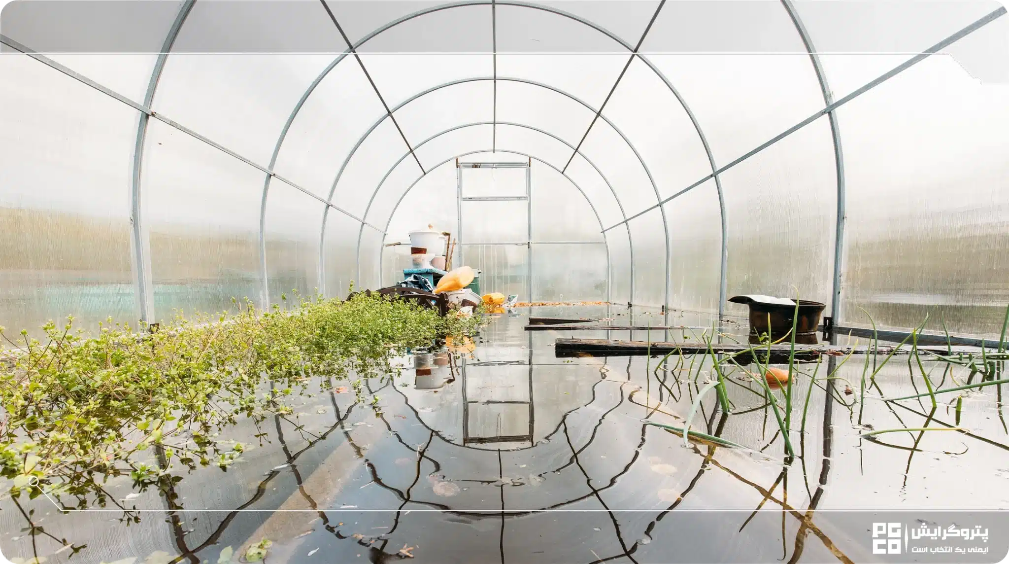 ساختار اسکلت گلخانه