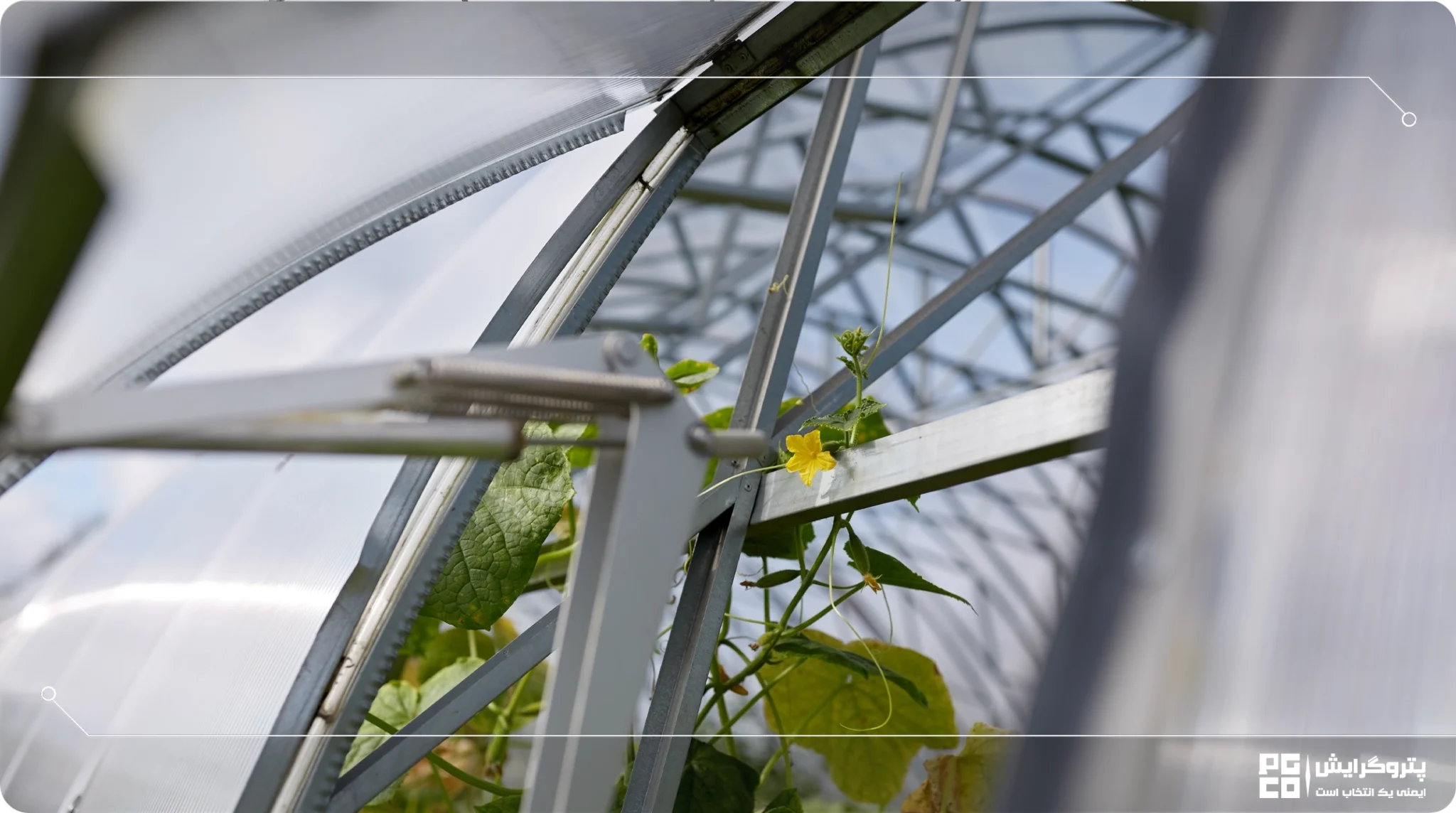 اسکلت گلخانه برای گلهای زینتی