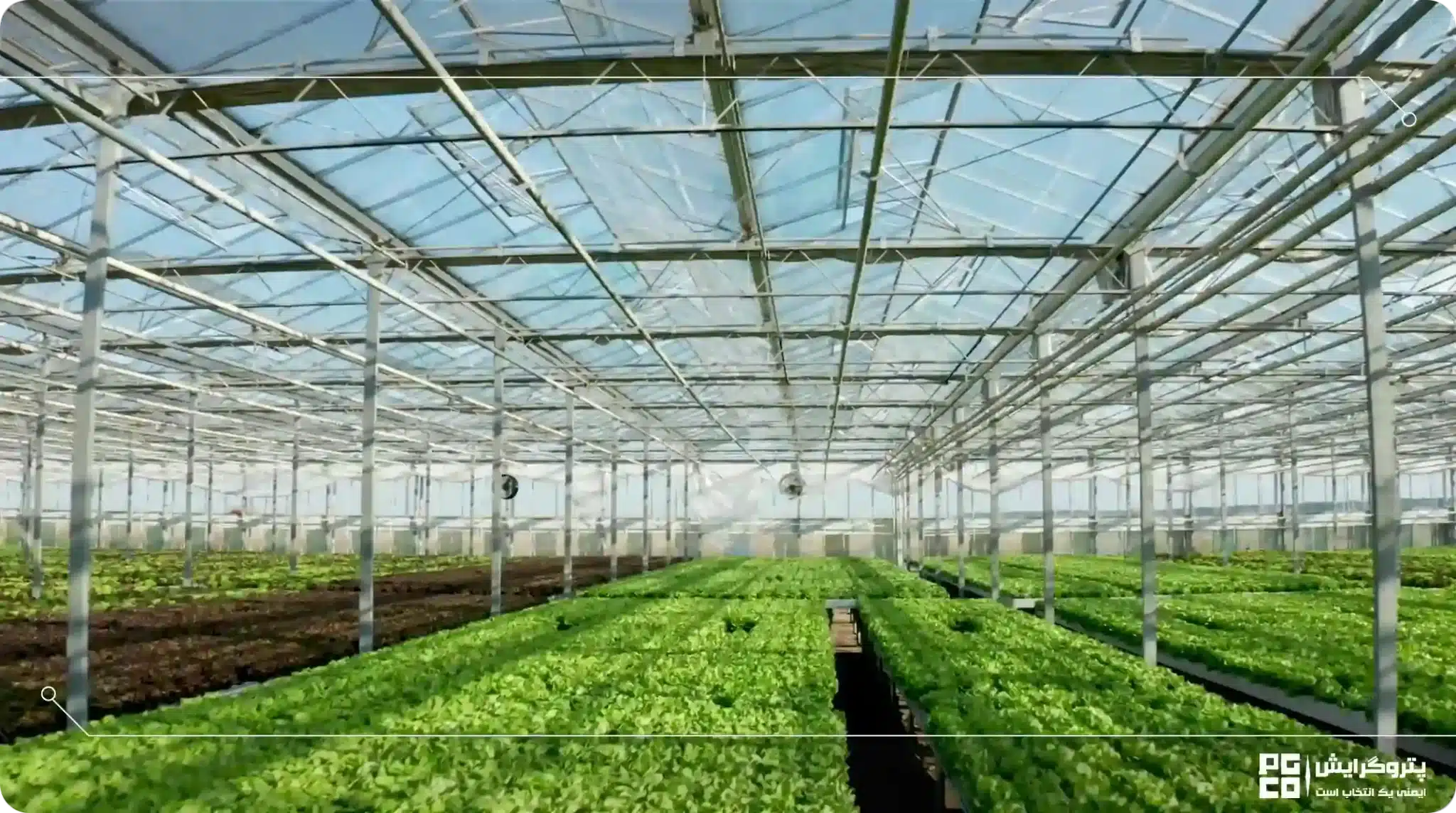 ویژگی های گلخانه شیشهای