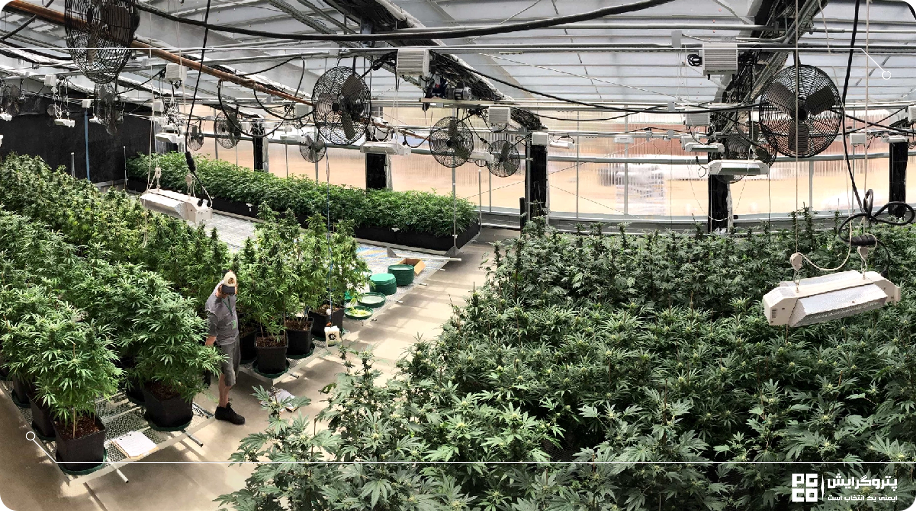 تجهیزاتی که برای ساخت گلخانه نیاز داریم