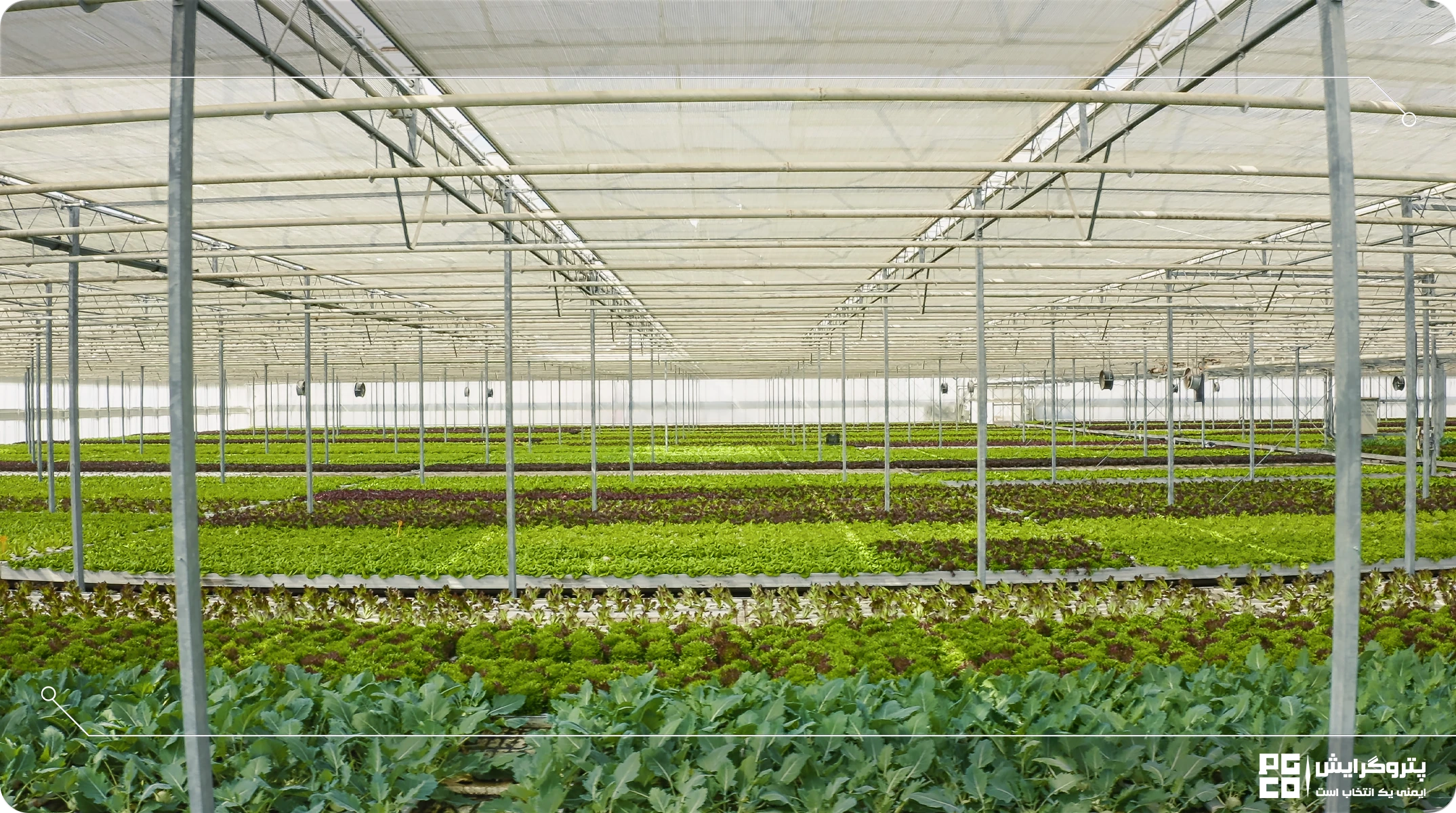 بهترین مشخصات فنی پروفیل گالوانیزه گلخانه