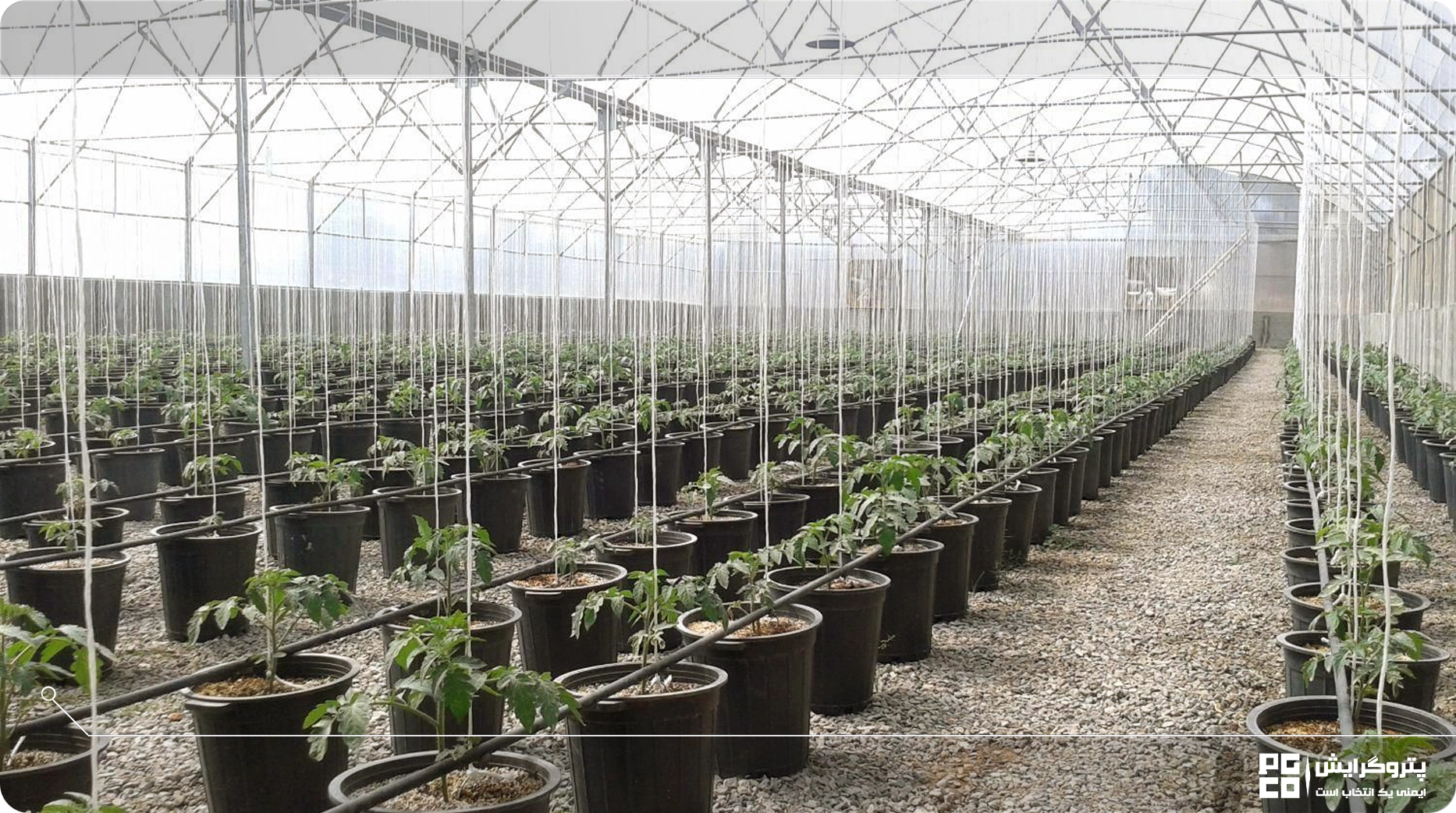 تفاوت گلخانه تیپ C با گلخانه تونلی