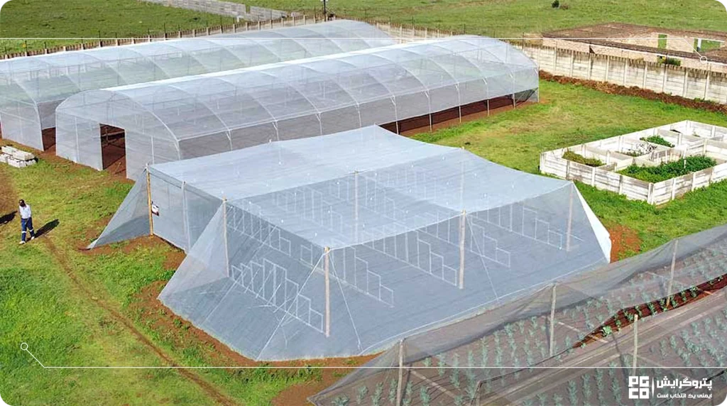 معایب گلخانههای نتهاوس