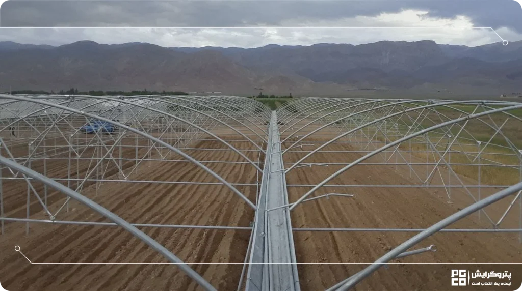 از گلخانههای تیپ C برای کشت چه گیاهانی استفاده میشود؟