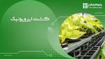 گلخانه ایروپونیک