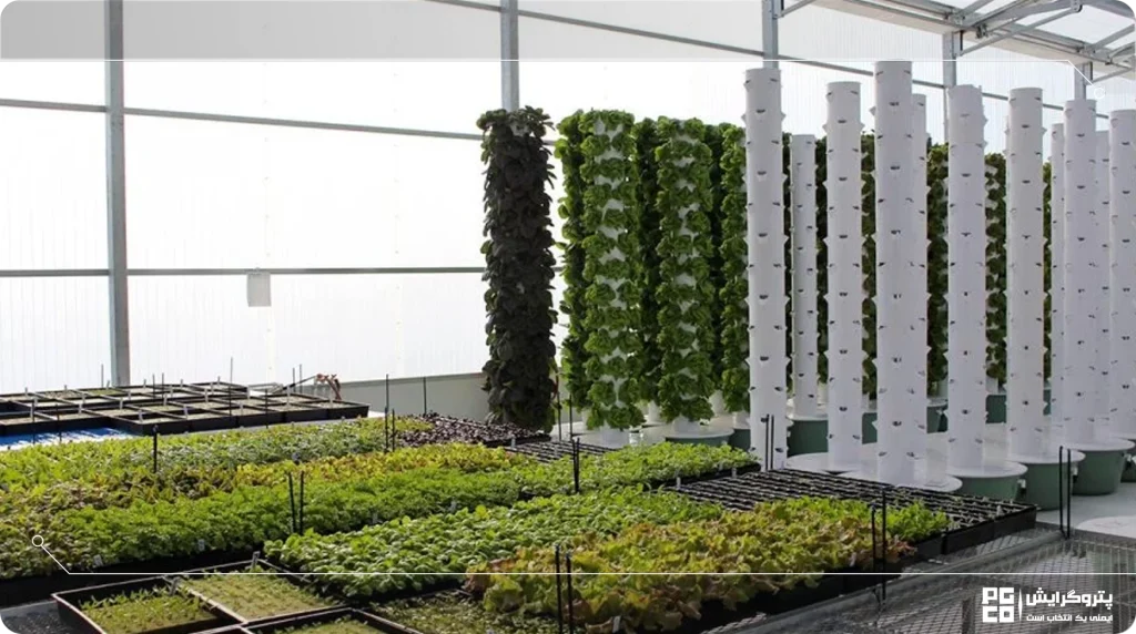 هزینه ساخت گلخانه ایروپونیک