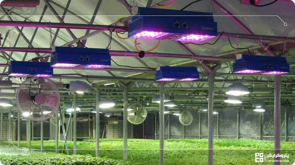 نور مصنوعی در گلخانهها