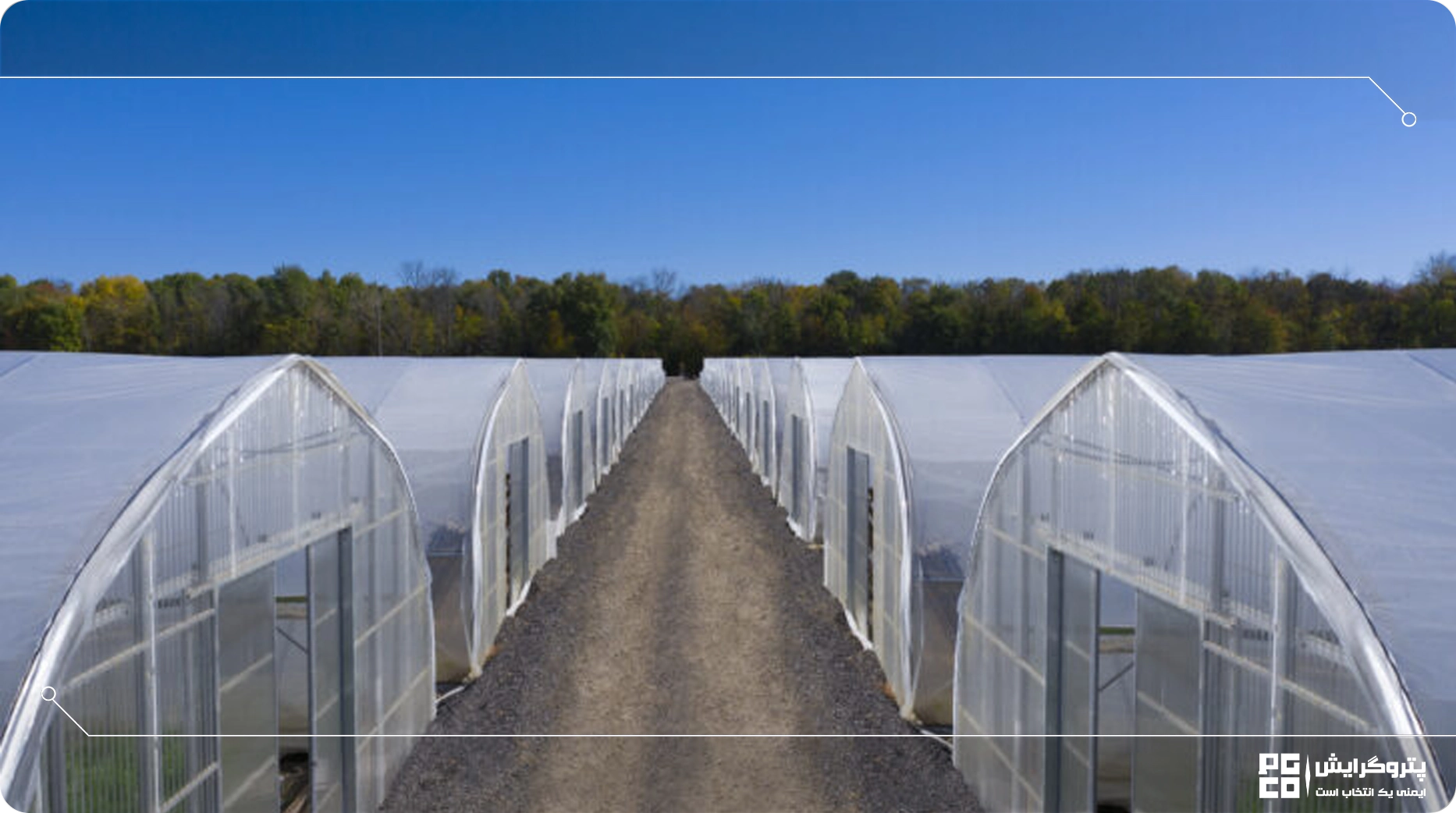 مهم ترین عوامل در کشت محصولات گلخانه ای سودآور