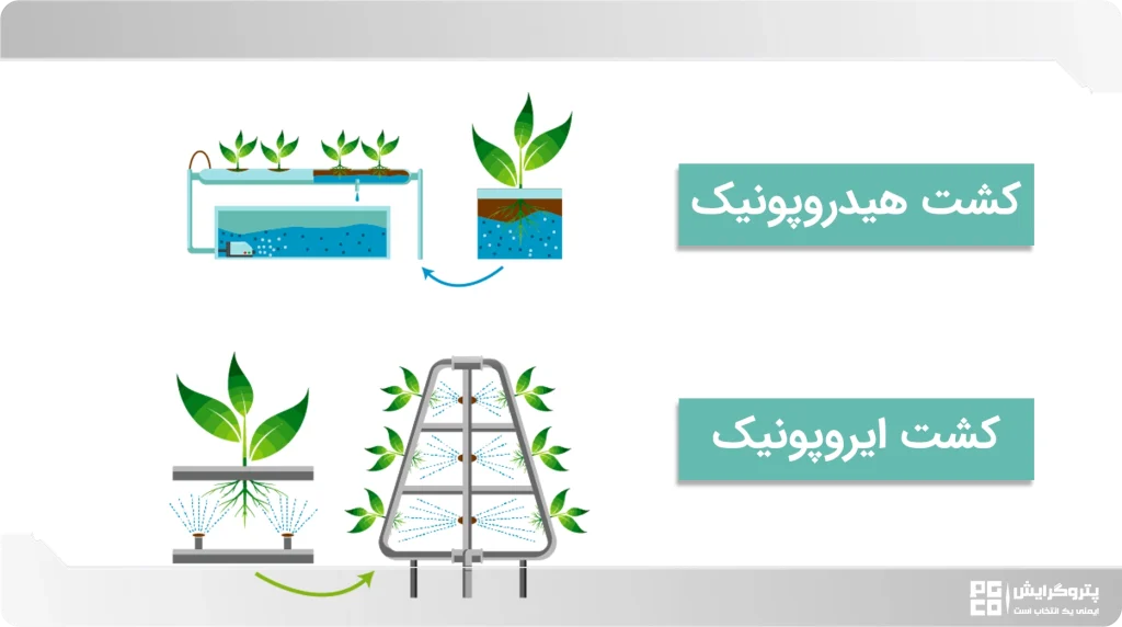 تفاوت کشت ایروپونیک و هیدروپونیک