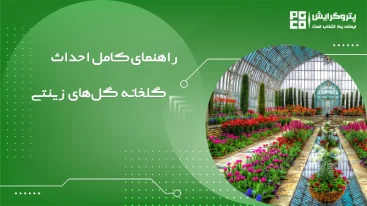 راهنمای کامل احداث گلخانه گلهای زینتی
