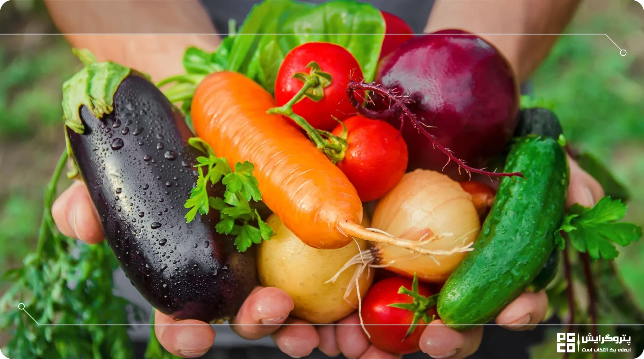 در هر کدام از ماههای زمستان، چه محصولی را بکاریم؟