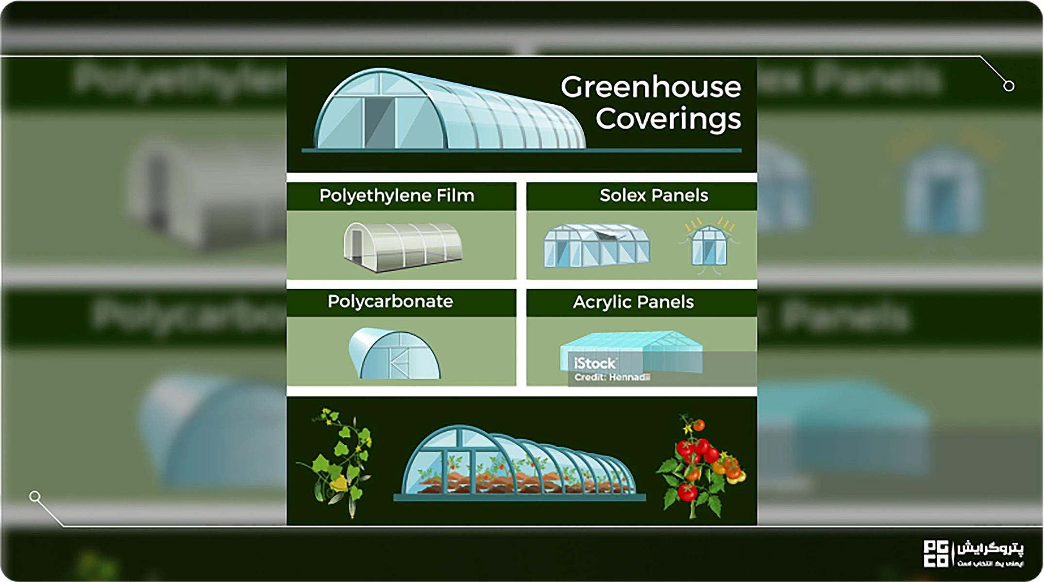 ساخت سازه گلخانه