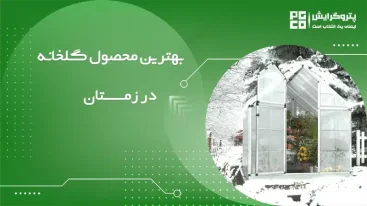 بهترین محصول گلخانه در زمستان