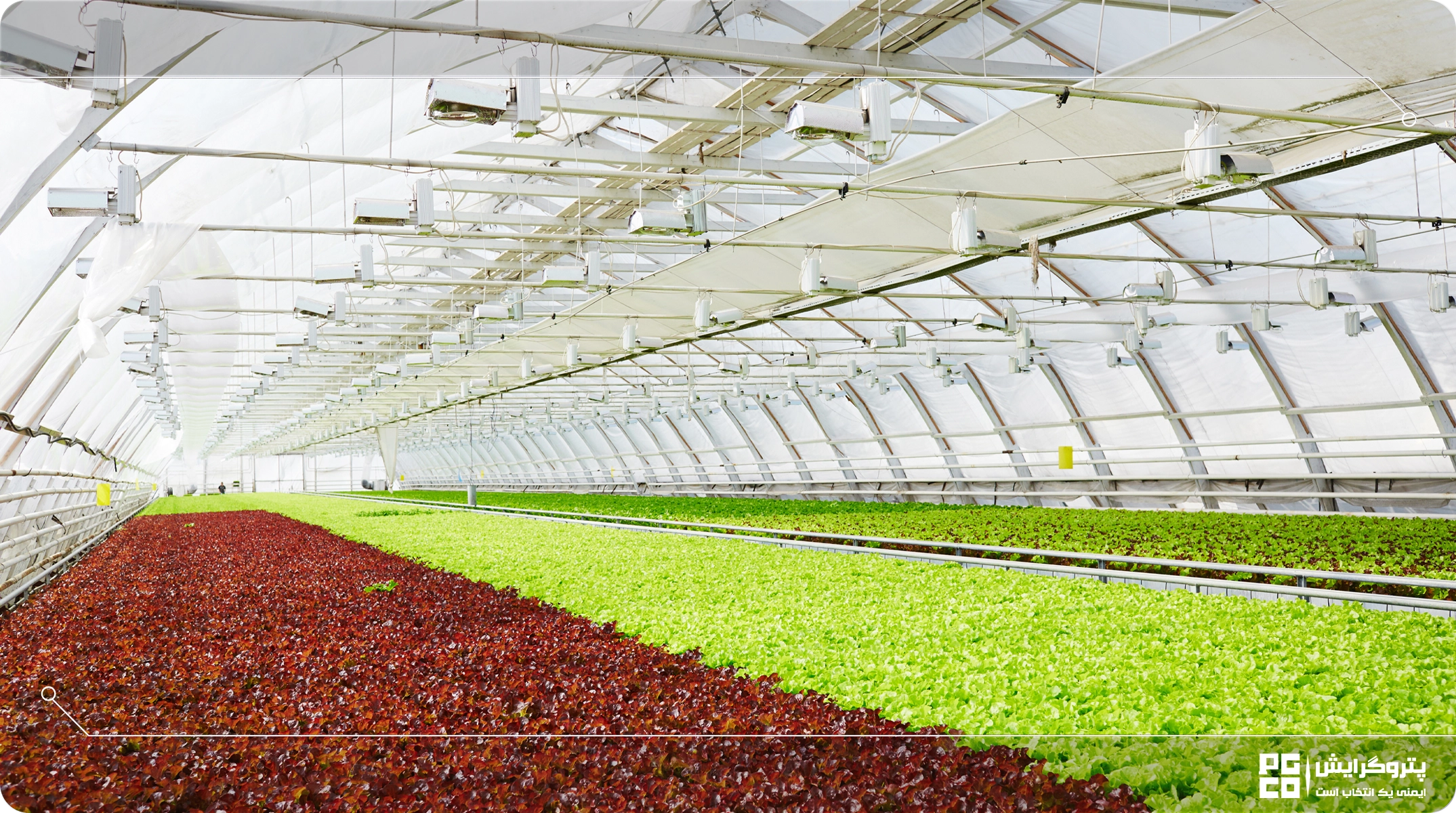 آموزش ساخت گلخانه بزرگ