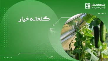 گلخانه خیار