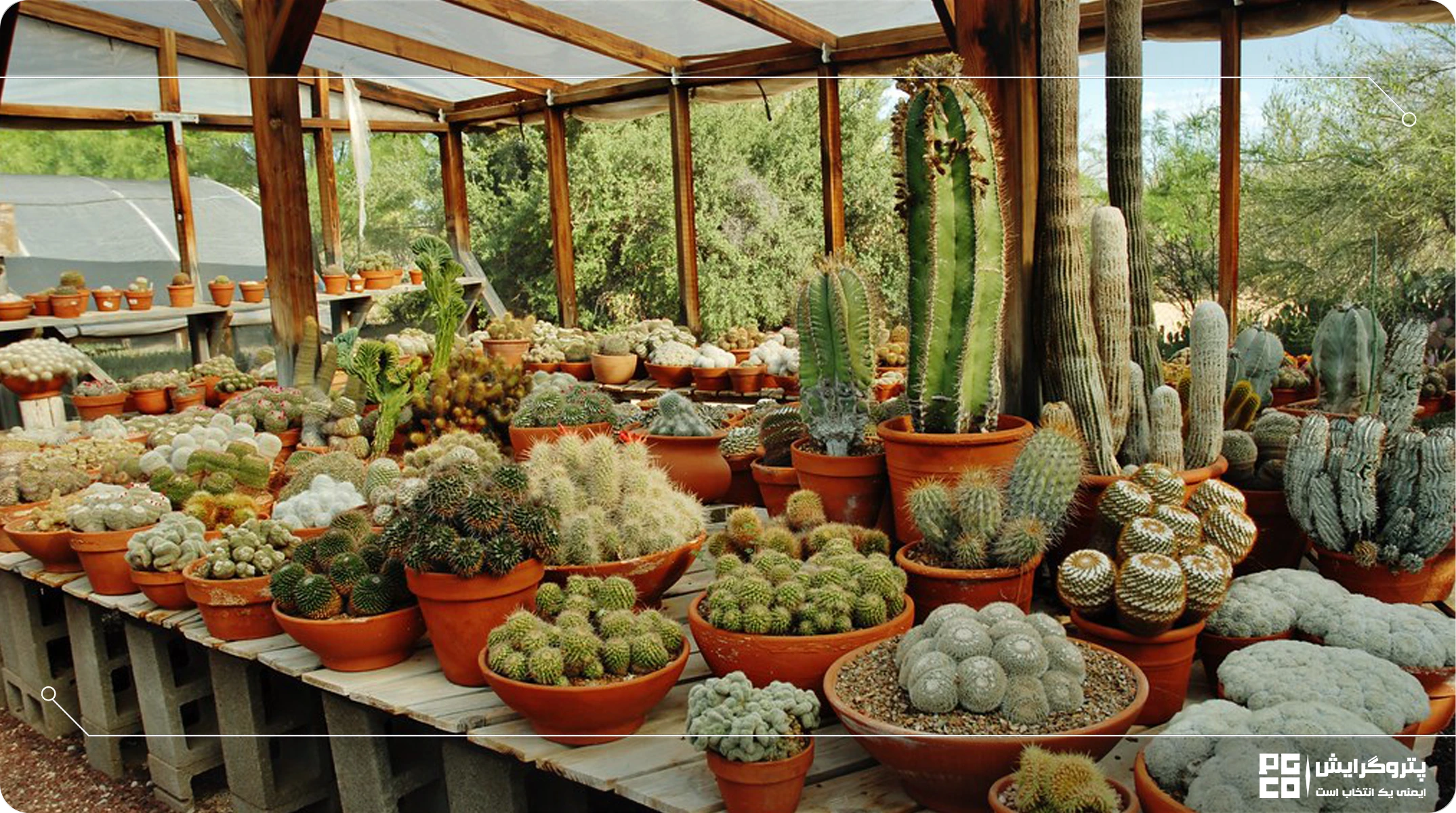 بهترین متریالها برای ساخت گلخانههای مقاوم به خشکی