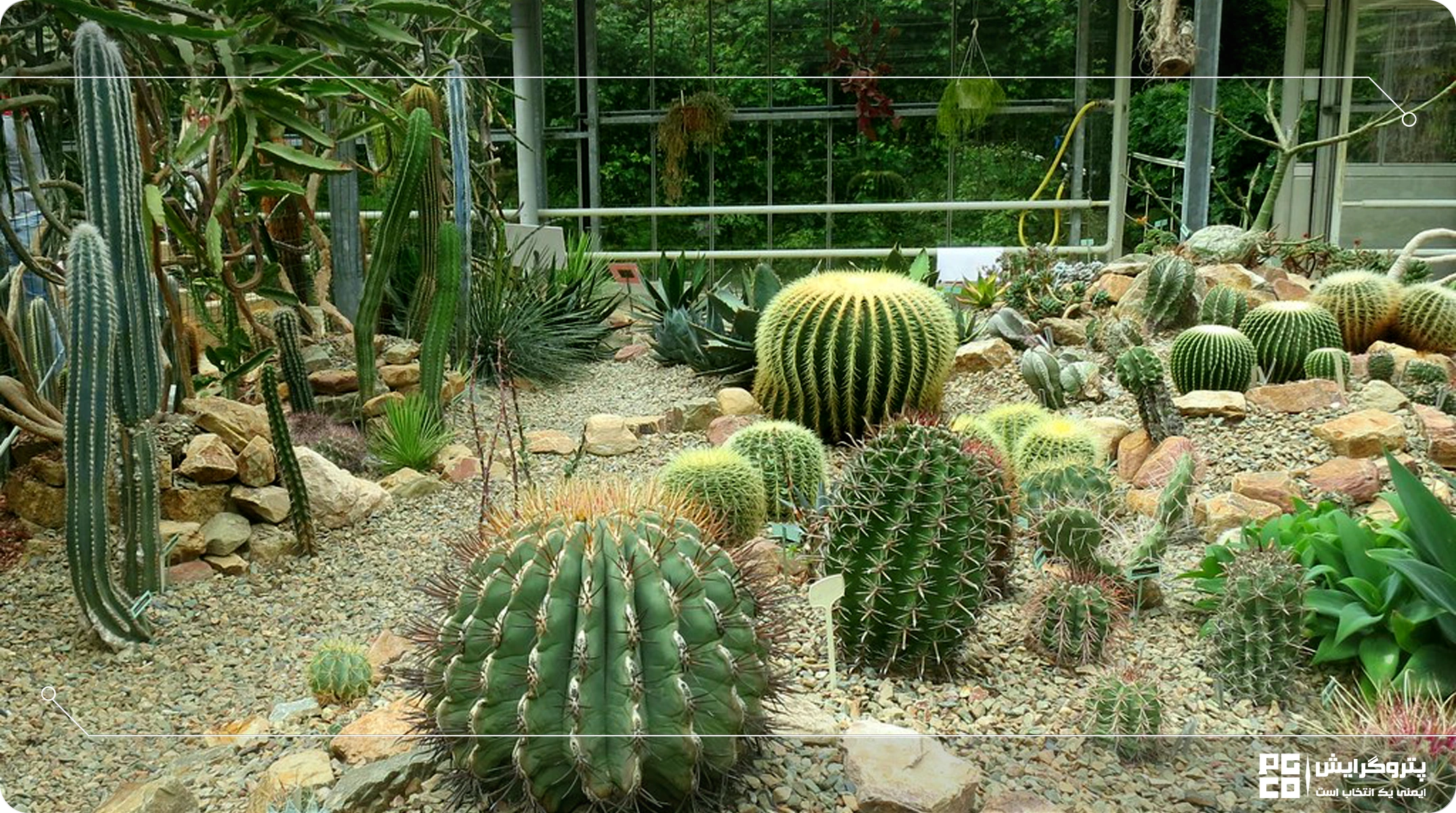 سایهزنی در گلخانههای کم آب