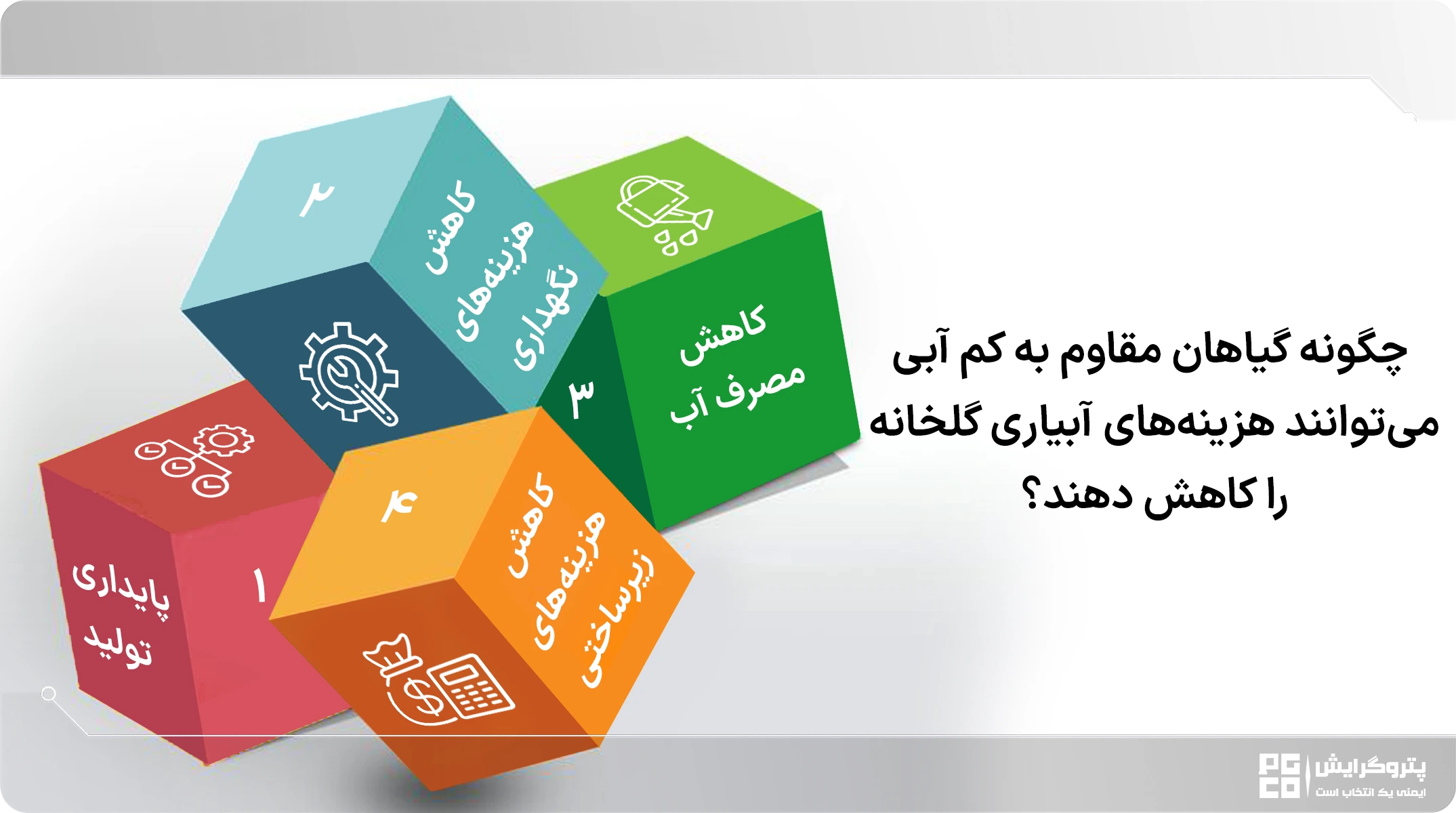 بهترین گیاهان مقاوم به خشکی