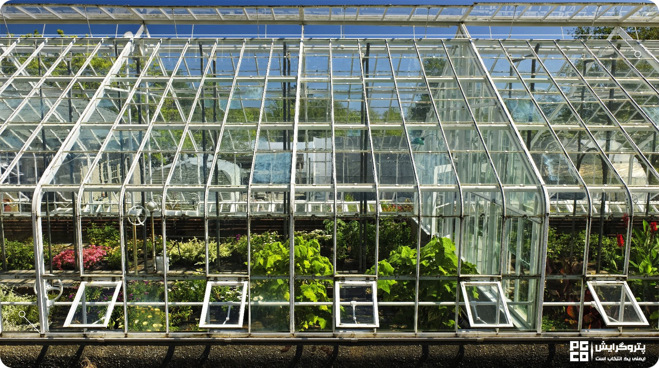 احداث گلخانه گیاهان دارویی