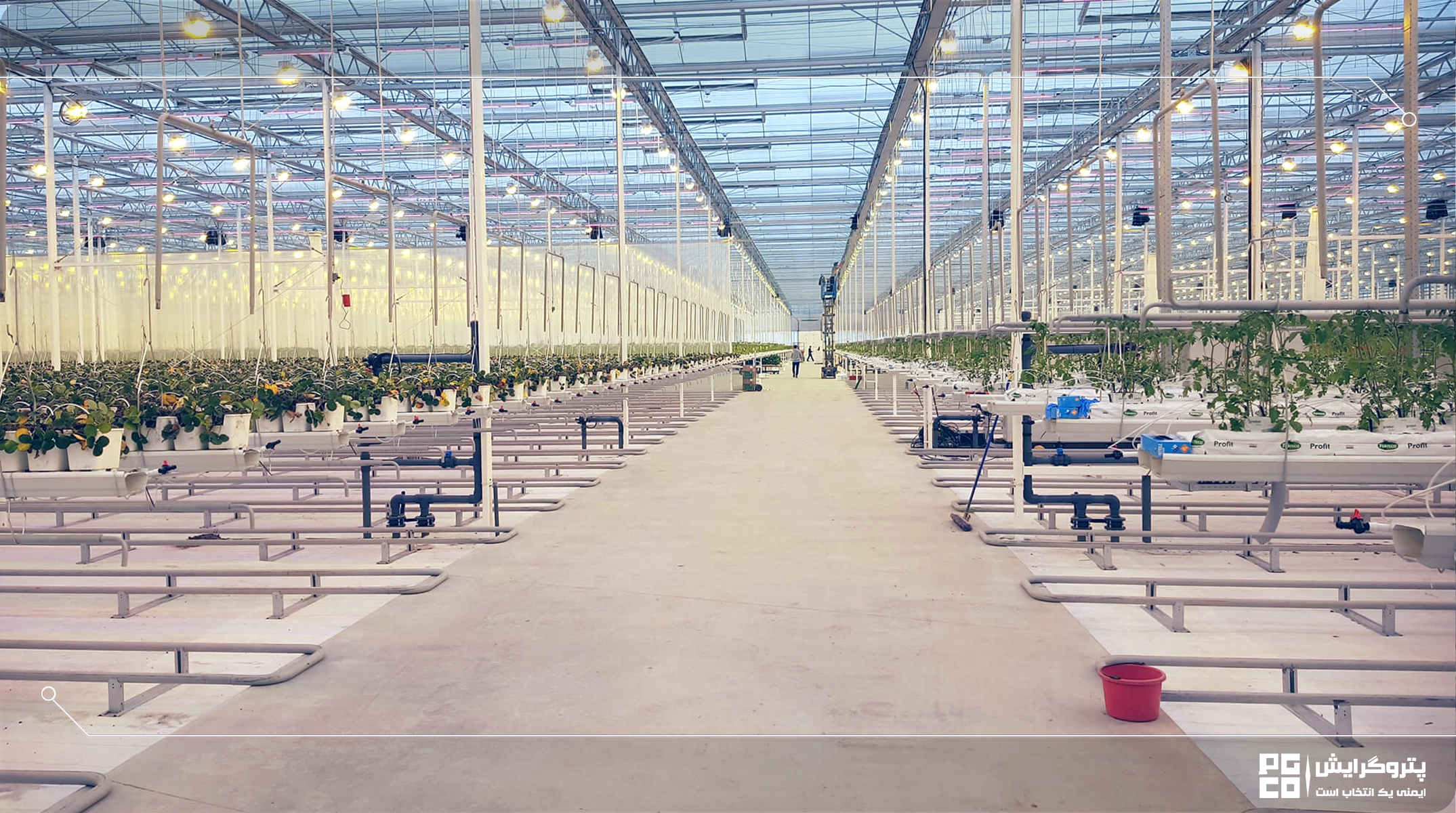 سیستمهای سرمایش تبخیری در گلخانه