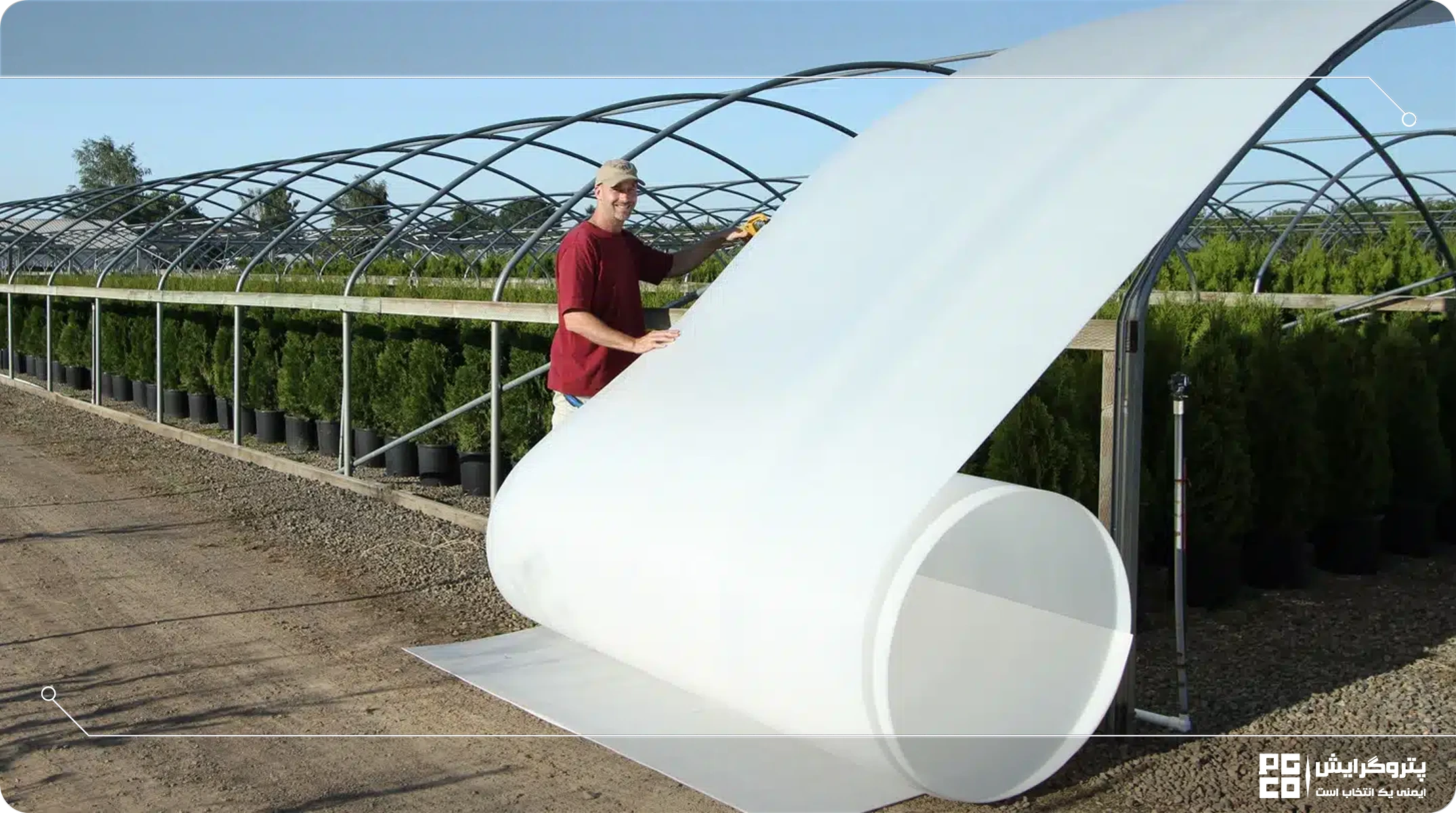 مزایای پوشش پلی کربنات گلخانه