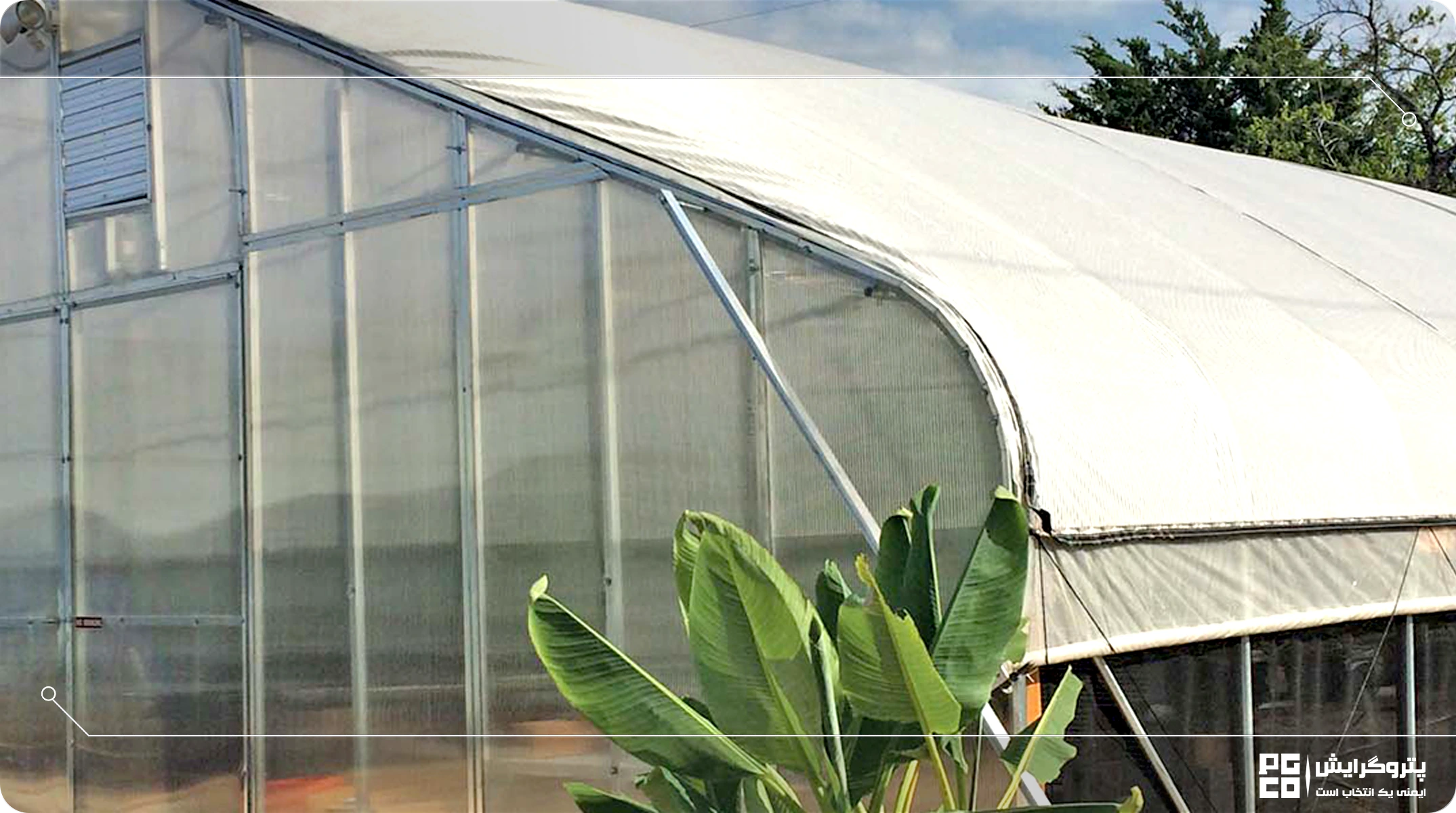 شیشه به عنوان پوشش گلخانه