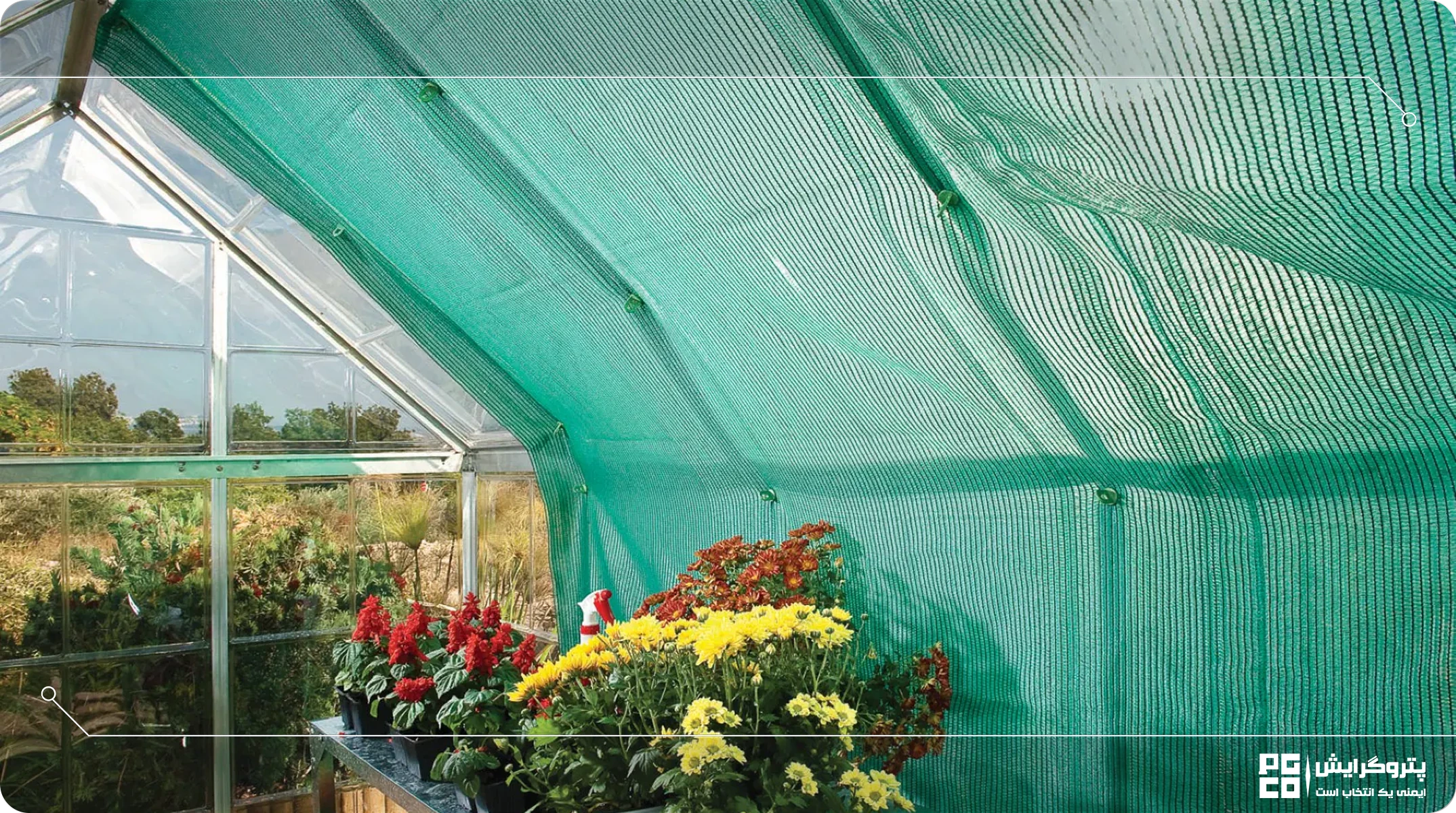 پوشش گلخانههای نتهاوس