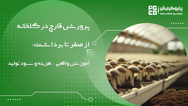 پرورش قارچ در گلخانه